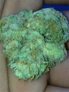 User uploaded image of Danky Doodle