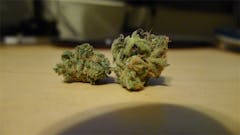 User uploaded image of Danky Doodle