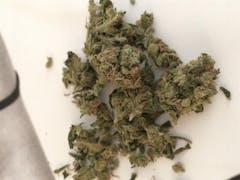 User uploaded image of Double Diesel