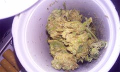 User uploaded image of Double Diesel