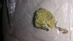 User uploaded image of Double Diesel