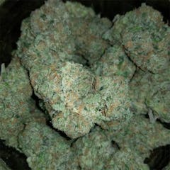 User uploaded image of Double Dream