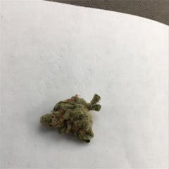 User uploaded image of Double Dream