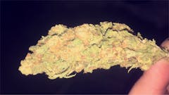 User uploaded image of Double Dutch