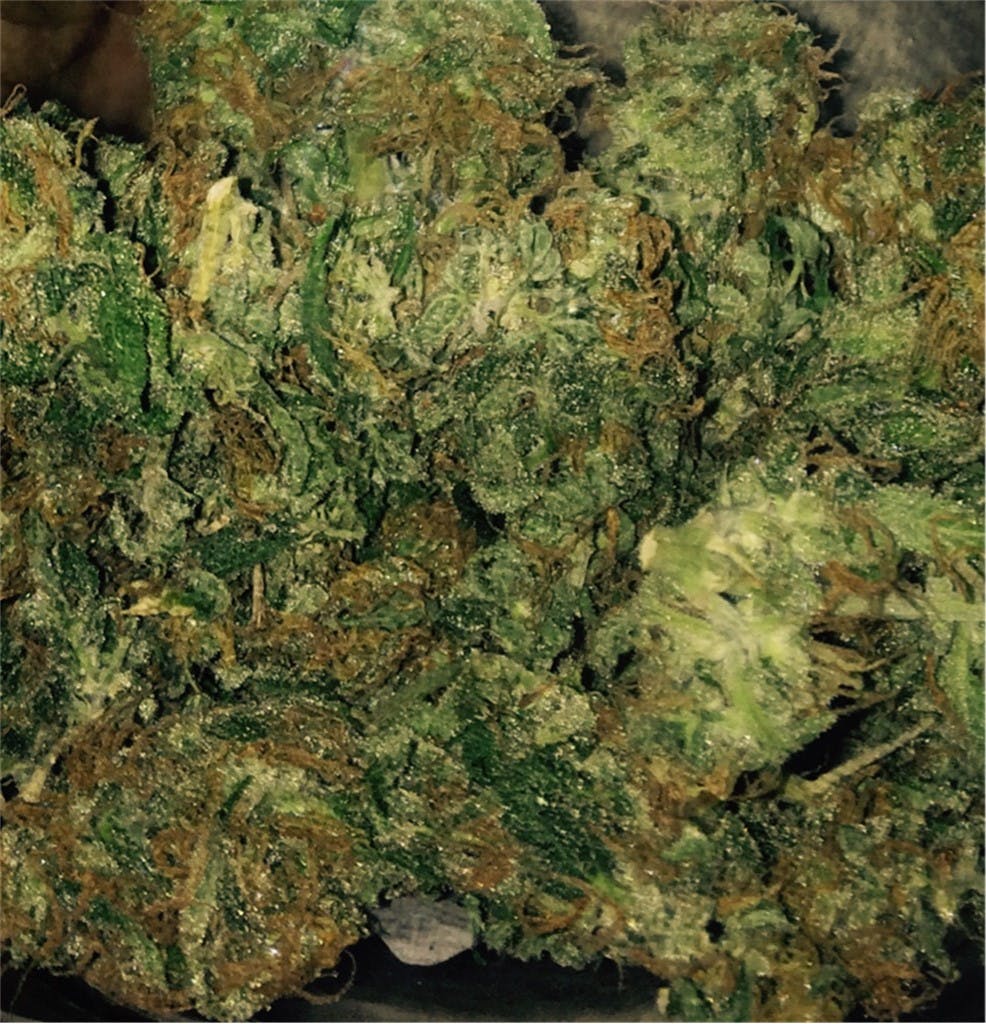 Double Dutch Weed Strain Information Leafly