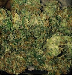 User uploaded image of Double Dutch