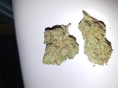 User uploaded image of Double Mint