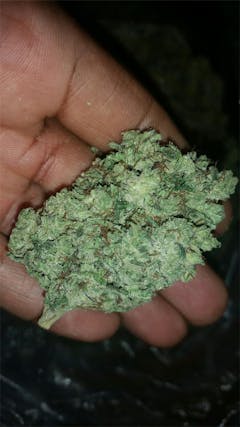 User uploaded image of Double OG