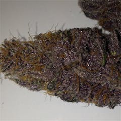User uploaded image of Double Purple Doja