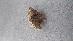 User uploaded image of Double Tangie Banana