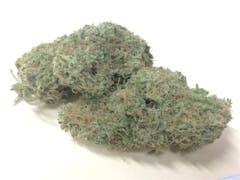 User uploaded image of Dr. Funk