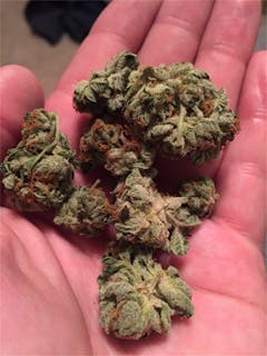 User uploaded image of Dr. Funk