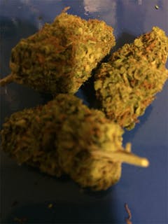 User uploaded image of Dr. Grinspoon