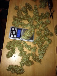 User uploaded image of Dr. Grinspoon