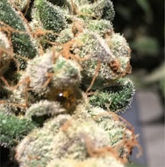 User uploaded image of Dr. Who