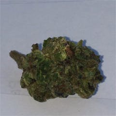 User uploaded image of Dragon OG