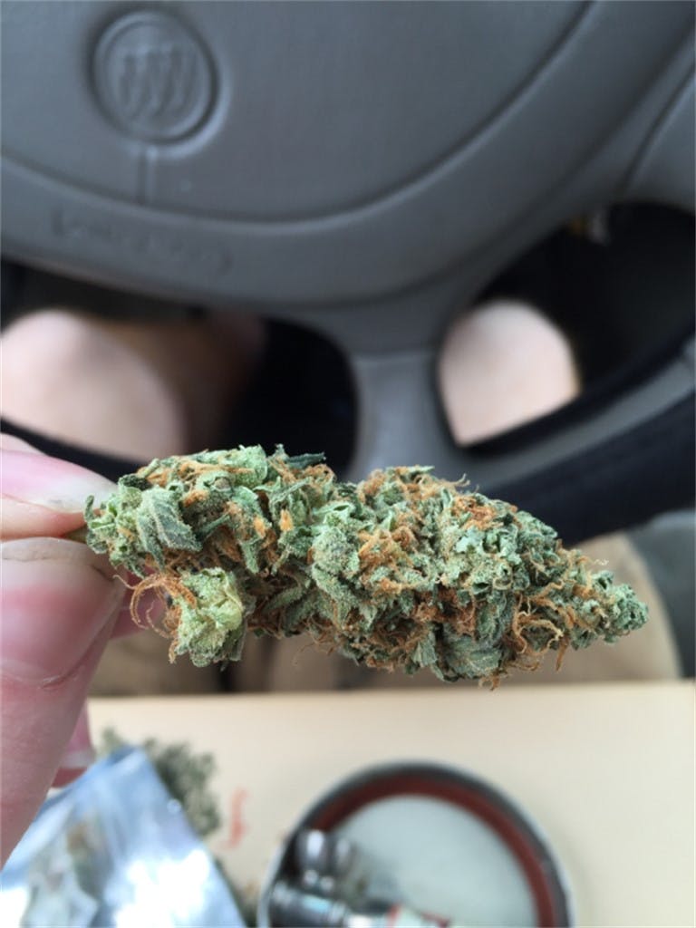 Dragon's Breath Weed Strain Information Leafly