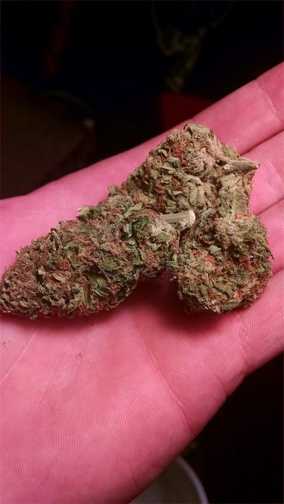 Dragon's Breath Weed Strain Information Leafly