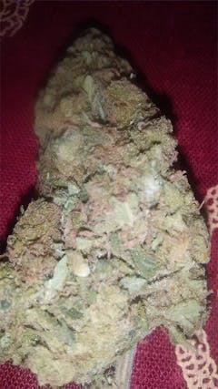 User uploaded image of Dreadlock