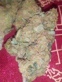 User uploaded image of Dreadlock