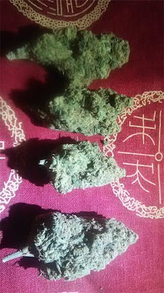 User uploaded image of Dreadlock