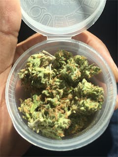 User uploaded image of Dream Beaver