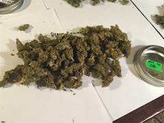 User uploaded image of Dream Beaver