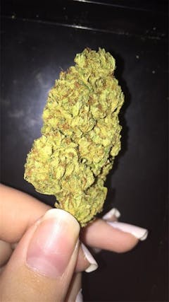 User uploaded image of Dream Berry
