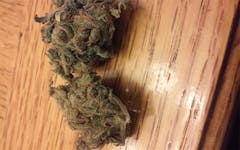 User uploaded image of Dream Lotus