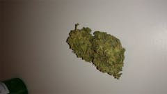 User uploaded image of Dream Lotus