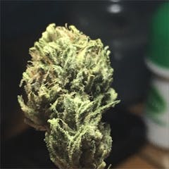 User uploaded image of Dream Lotus