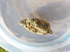 User uploaded image of Dream Queen