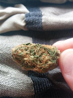 User uploaded image of Dream Star