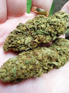 User uploaded image of Dream Star