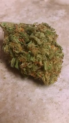 User uploaded image of Dream Star