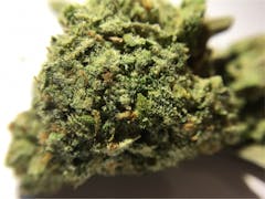 User uploaded image of Duke Nukem