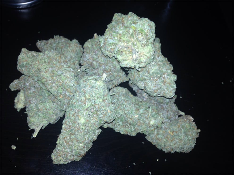 Photos of Duke Nukem Weed Strain Buds | Leafly