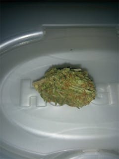 User uploaded image of Duke Nukem