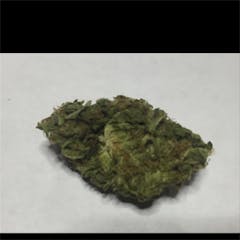 User uploaded image of Durban Berry