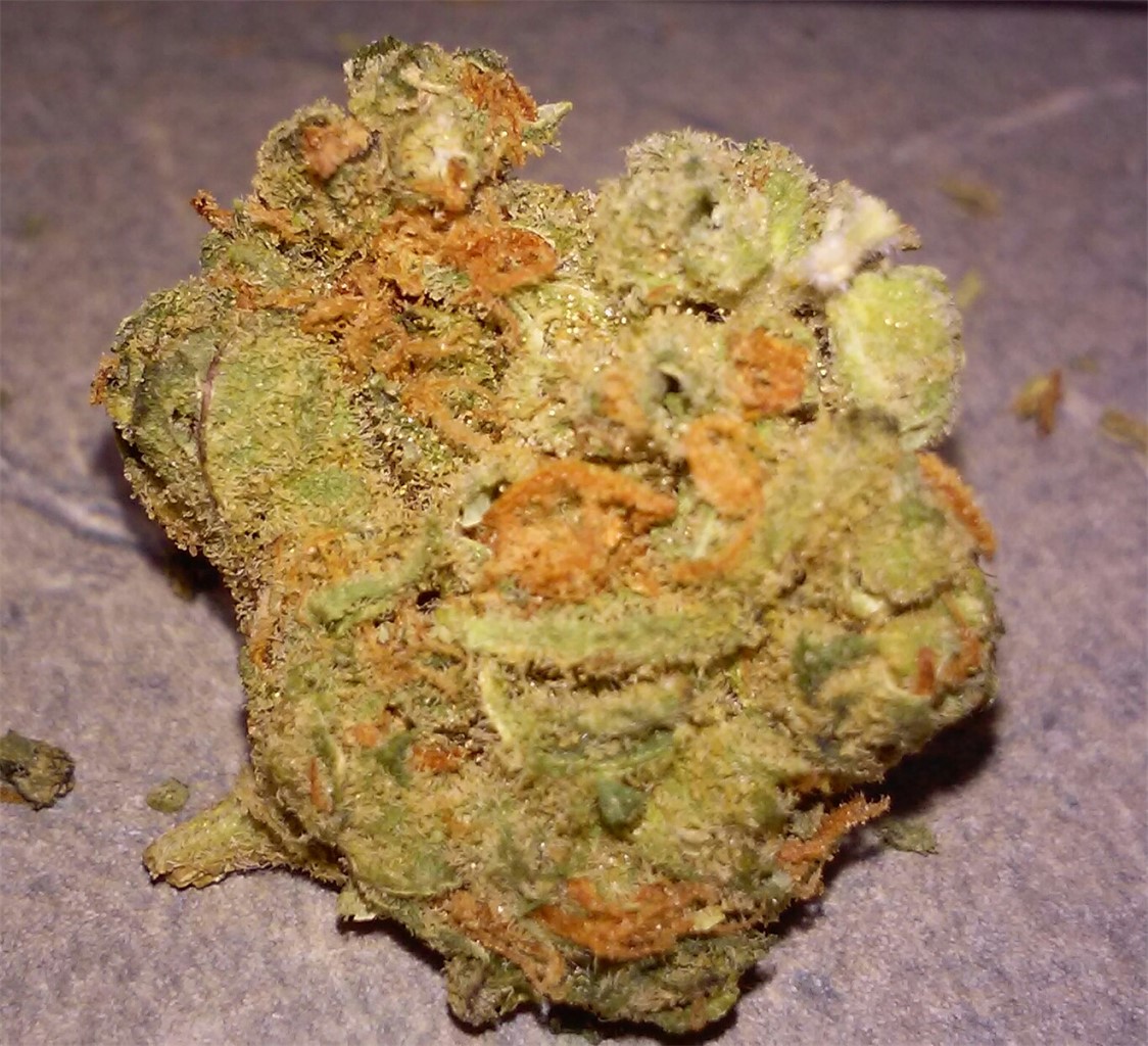 durban berry