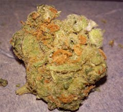 User uploaded image of Durban Berry