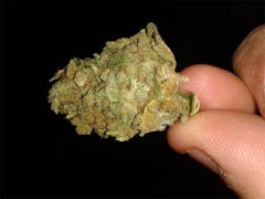 User uploaded image of Durban Cheese