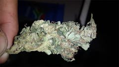 User uploaded image of Durban Cheese