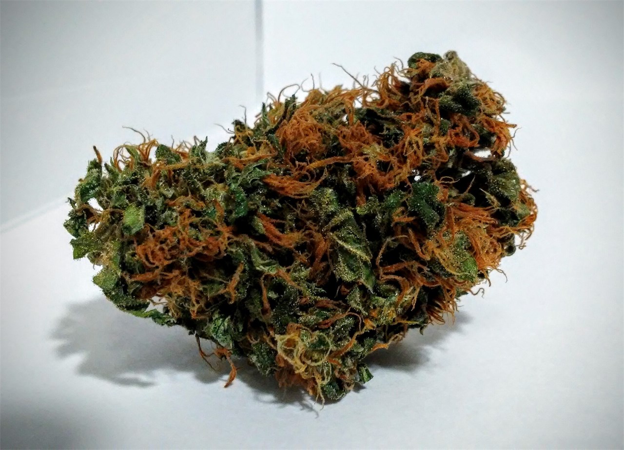 Durban Poison Strain