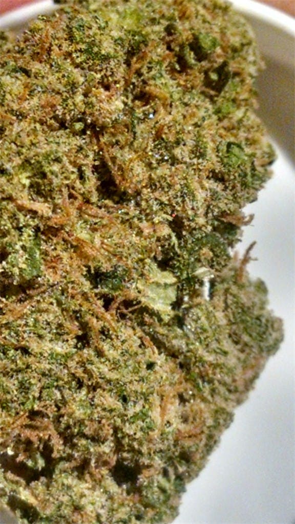 Photos of Durban Poison Weed Strain Buds Leafly