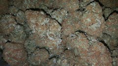 User uploaded image of Durga Mata