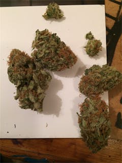 User uploaded image of Dutch Dragon