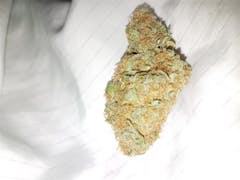 User uploaded image of Dutch Dragon