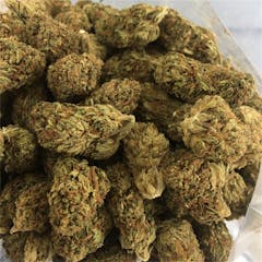 User uploaded image of Dutch Dragon