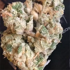 User uploaded image of Dutch Dragon